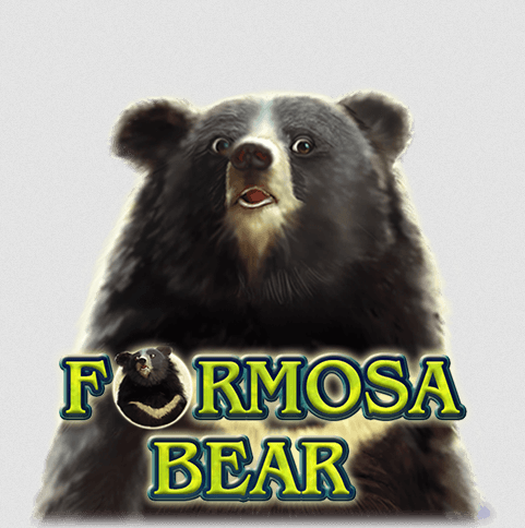 Urso Formosa, apostas, prêmios, sorte, jogo responsável.